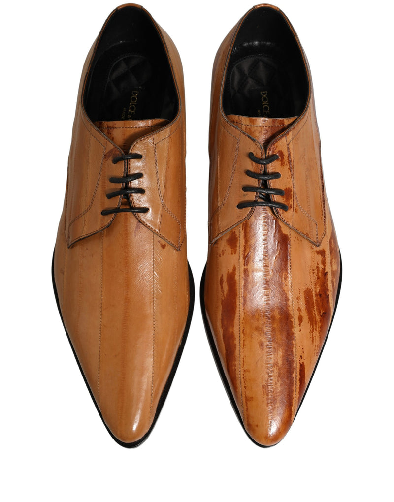 Scarpe derby da uomo marroni in pelle con lacci Dolce & Gabbana