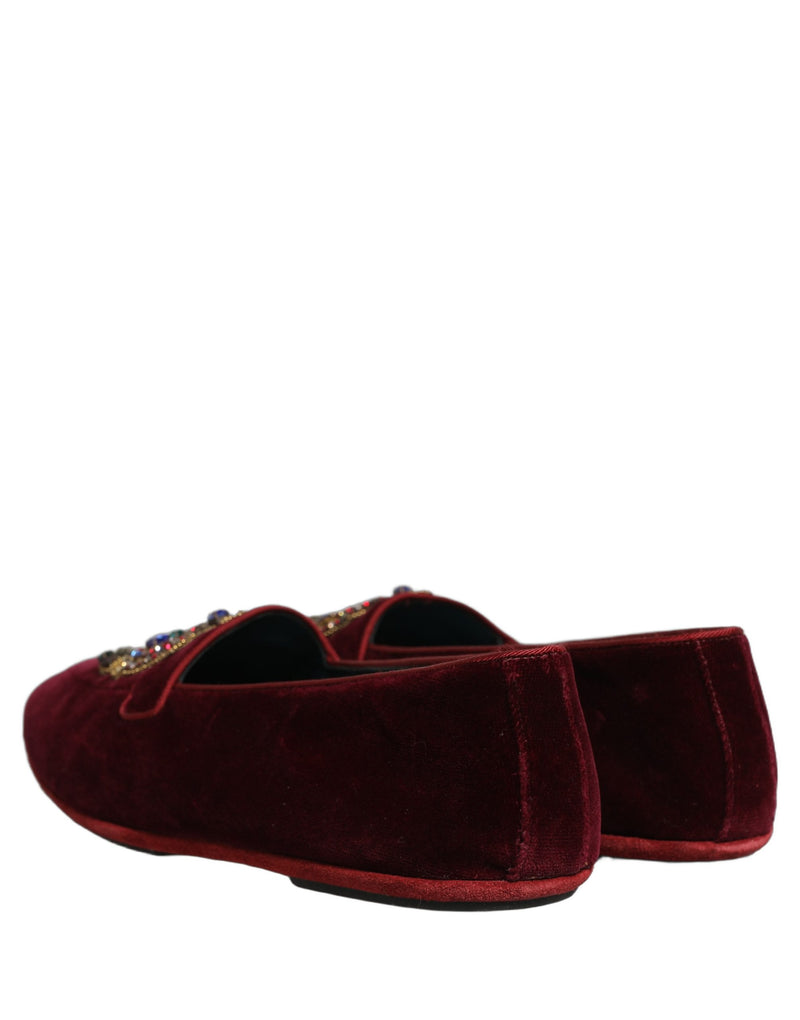 Mocassins à enfiler Dolce & Gabbana en velours bordeaux avec couronne