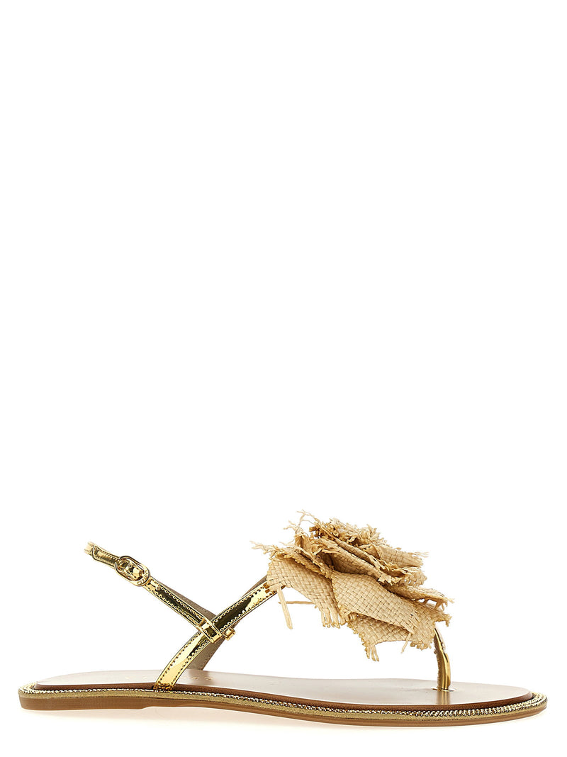 Le Silla Le Silla Rose Sandals