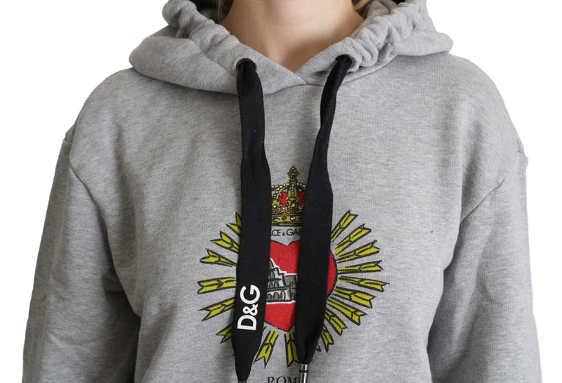 Suéter exclusivo gris con capucha y estampado del logotipo Dolce & Gabbana