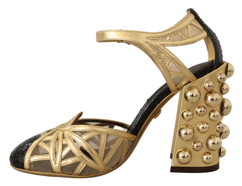 Zapatos de cuero negro y dorado con tachuelas y correas al tobillo de Dolce & Gabbana