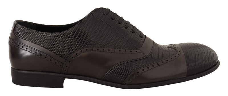Scarpe Oxford eleganti in pelle marrone effetto lucertola Dolce & Gabbana
