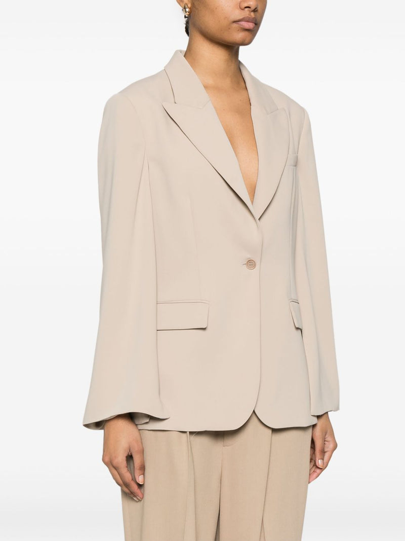 Parosh Parosh P.A.R.O.S.H. Single-Breasted Blazer