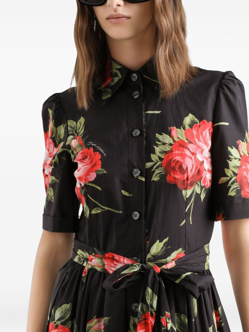 Dolce & Gabbana - floral-print belted midi dress in black... | Urbalenti™ NYC