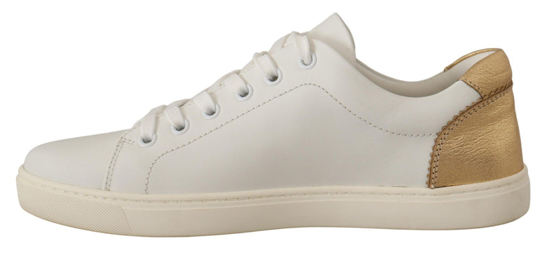 Sneakers basse in pelle bianca e oro Dolce & Gabbana