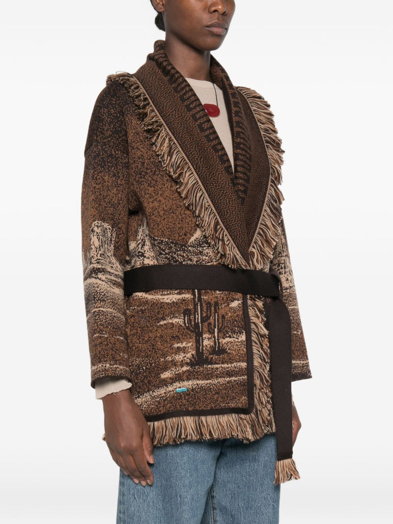 Alanui Alanui Sweaters BROWN