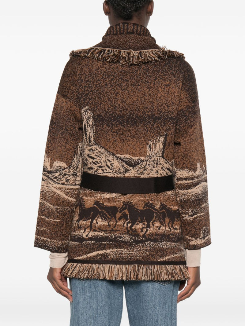 Alanui Alanui Sweaters BROWN