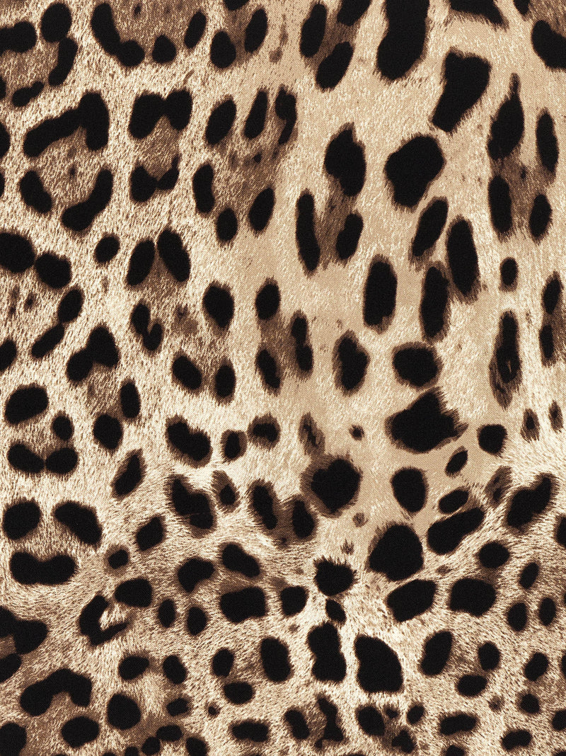 Dolce & Gabbana Dolce & Gabbana Leopardo Scarf