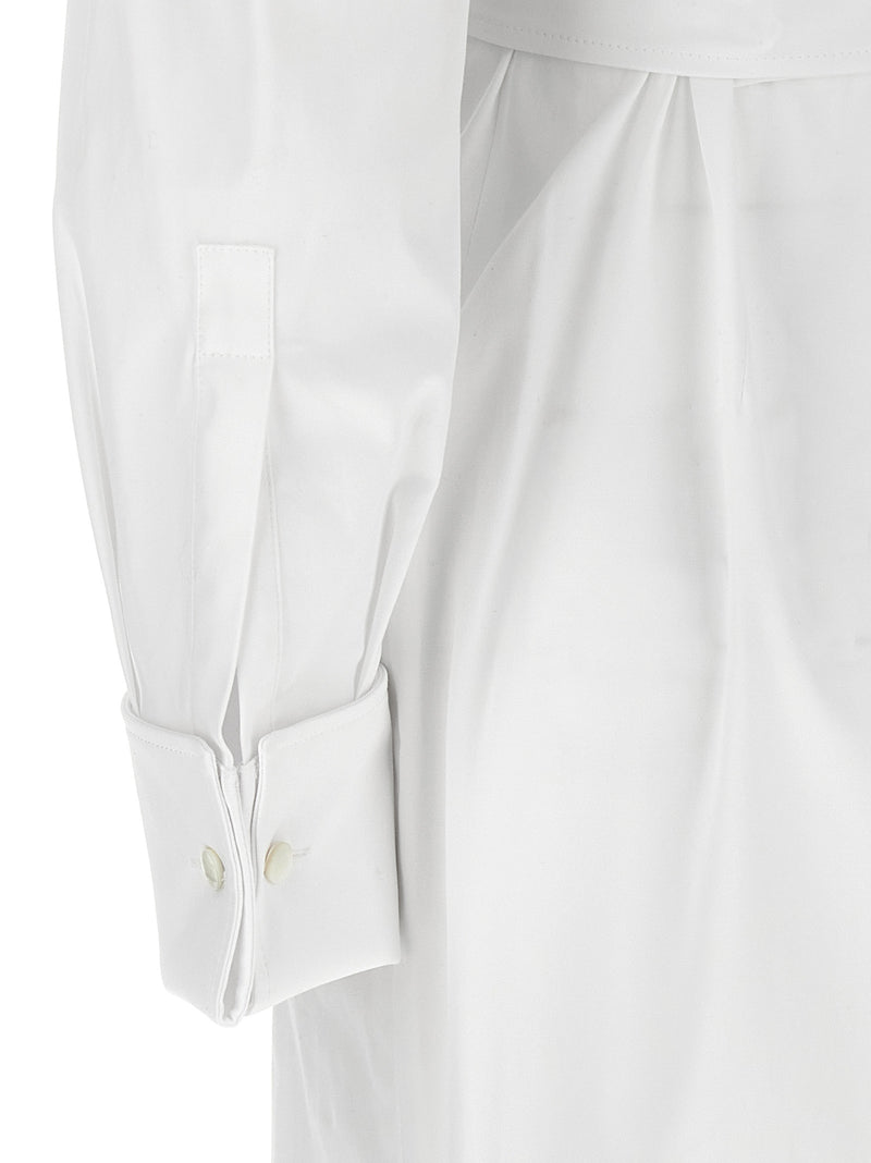 Max Mara Balzac Dress | Urbalenti™ NYC
