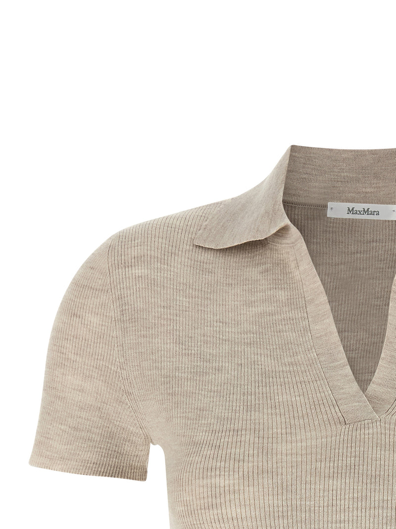 Max Mara Max Mara Mxmalbero Polo Shirt
