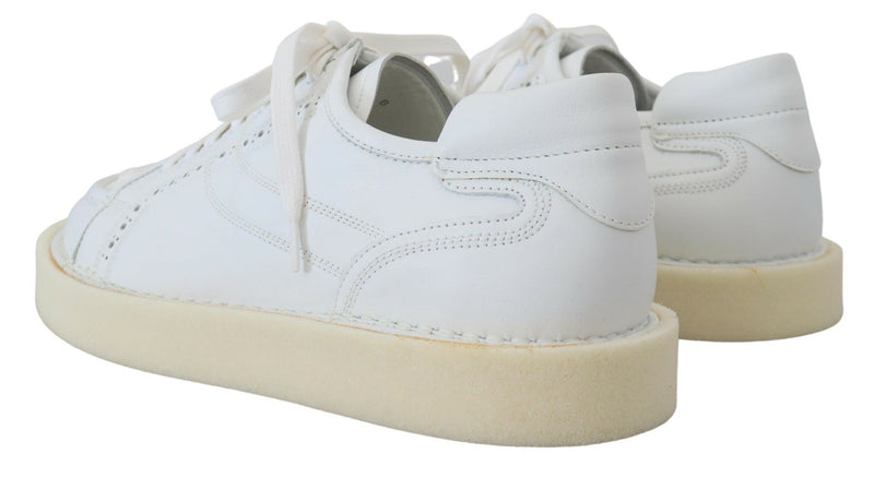 Baskets Oxford basses décontractées en cuir blanc Dolce & Gabbana