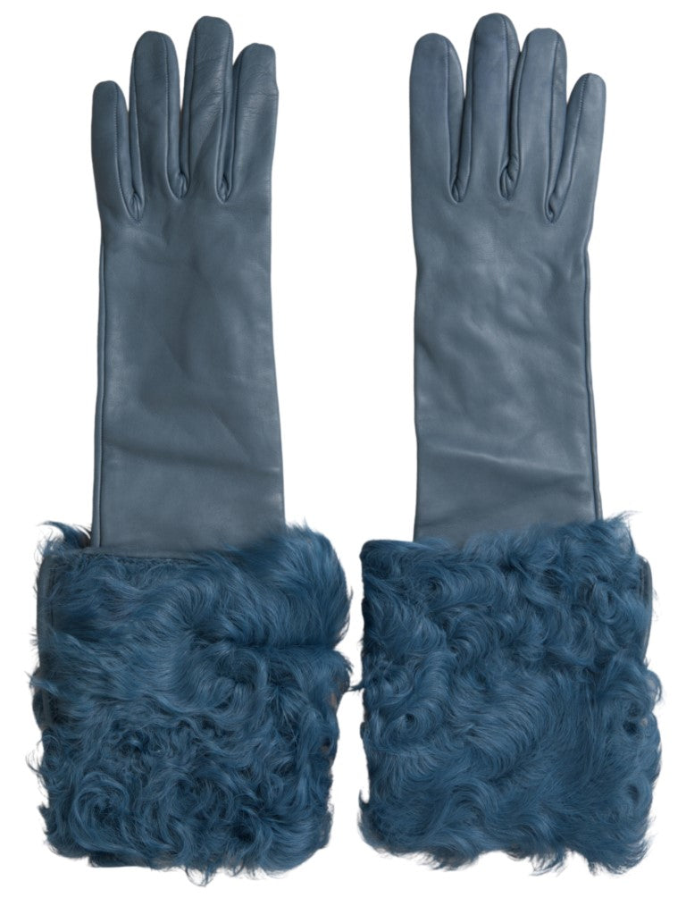 Luvas azuis de couro e pele, de comprimento até o meio do braço Dolce & Gabbana