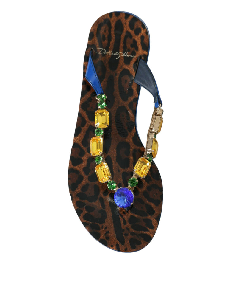 Zapatos de playa de piel de becerro azul con cristales Dolce & Gabbana