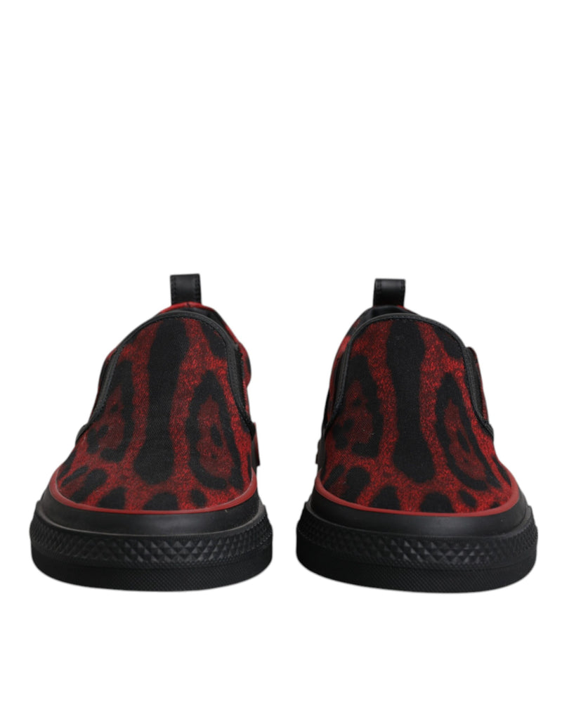 Tênis masculinos de cano baixo em algodão vermelho e preto com estampa de leopardo Dolce & Gabbana