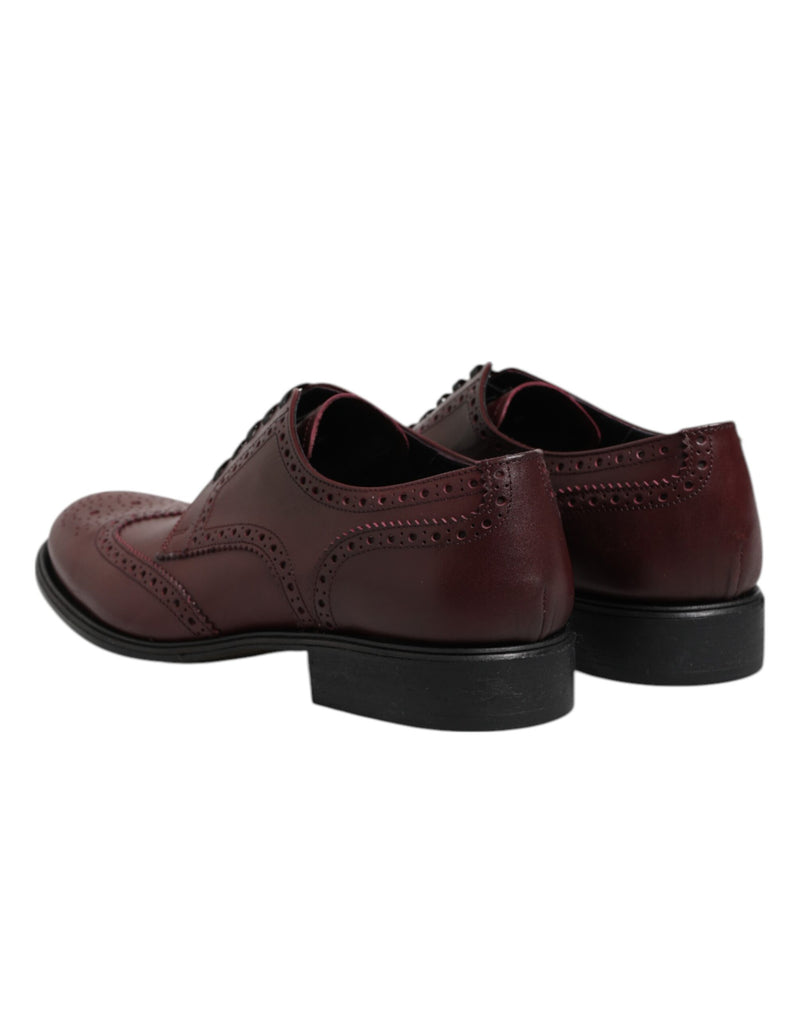 Chaussures derby habillées à lacets en cuir marron Dolce & Gabbana