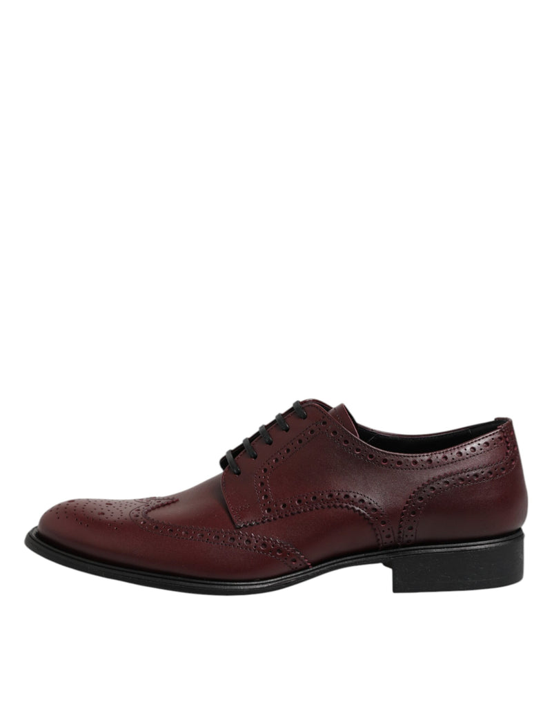 Chaussures derby habillées à lacets en cuir marron Dolce & Gabbana
