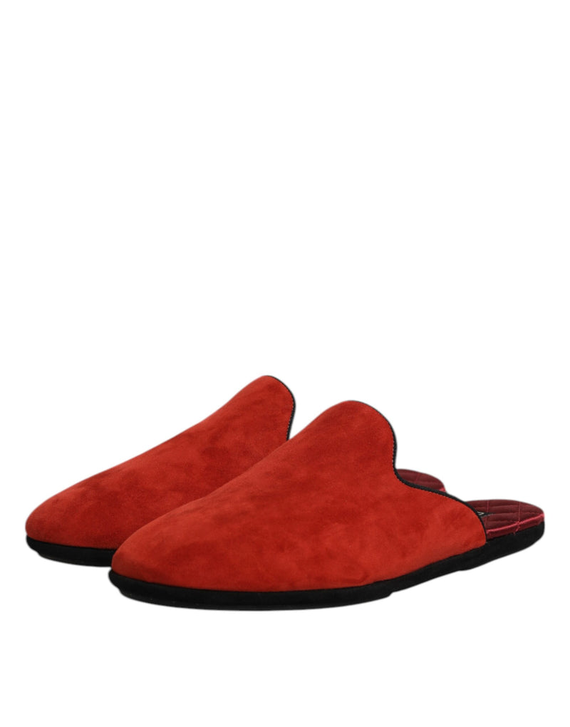 Ciabatte basse in camoscio arancione Dolce & Gabbana