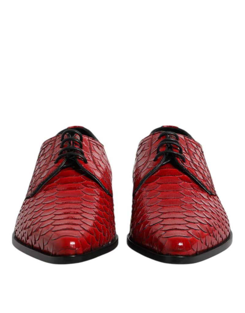Derbies habillées à lacets pour homme en cuir exotique rouge Dolce & Gabbana