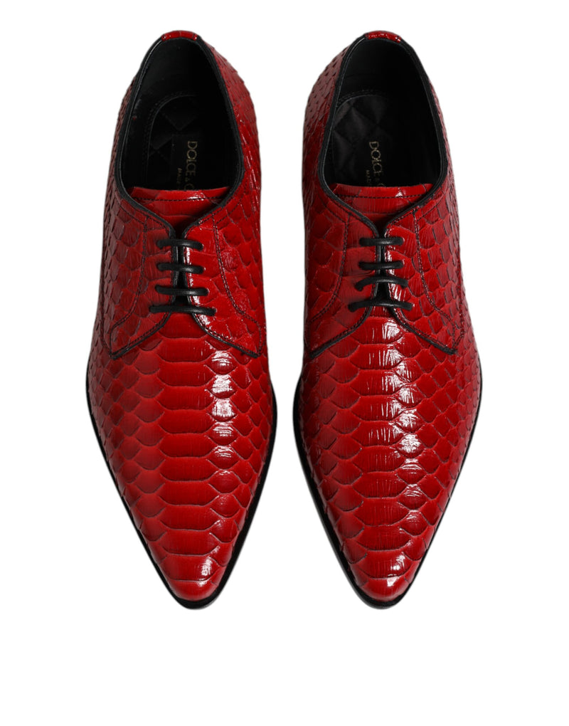 Derbies habillées à lacets pour homme en cuir exotique rouge Dolce & Gabbana