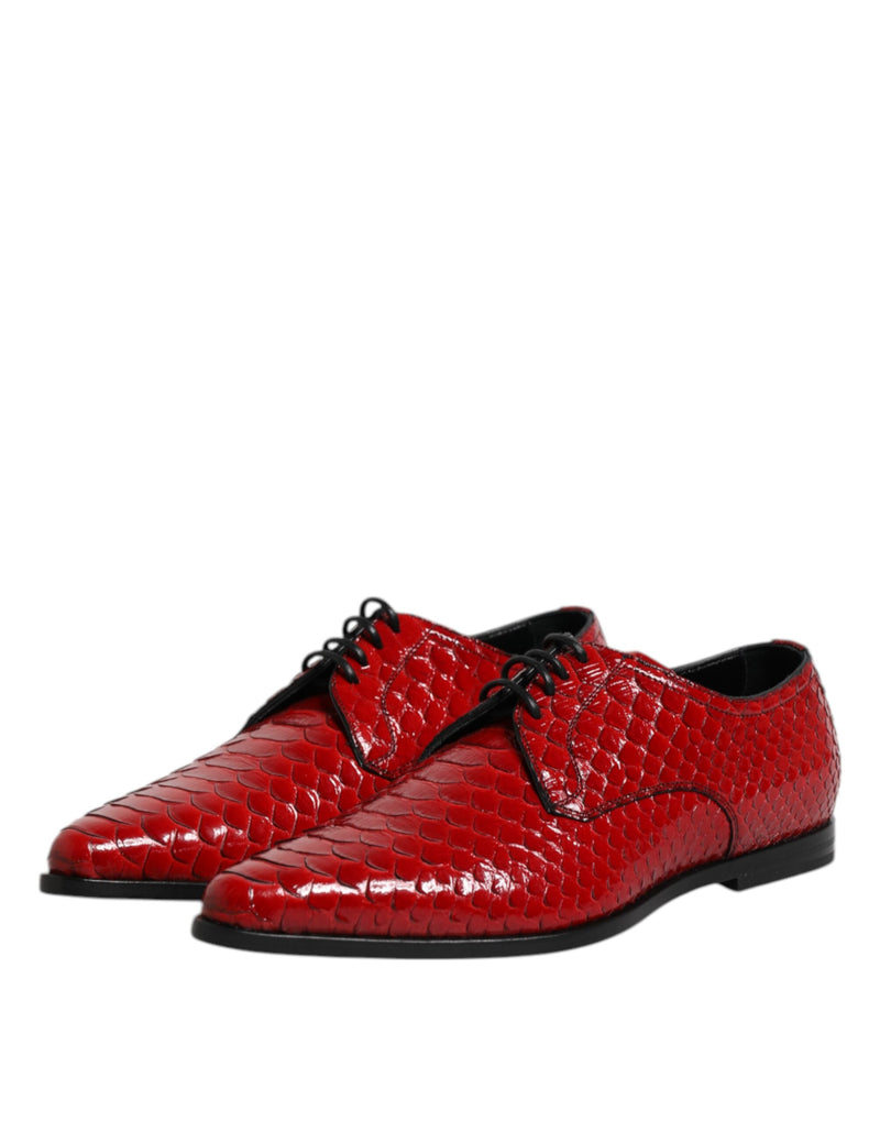 Derbies habillées à lacets pour homme en cuir exotique rouge Dolce & Gabbana