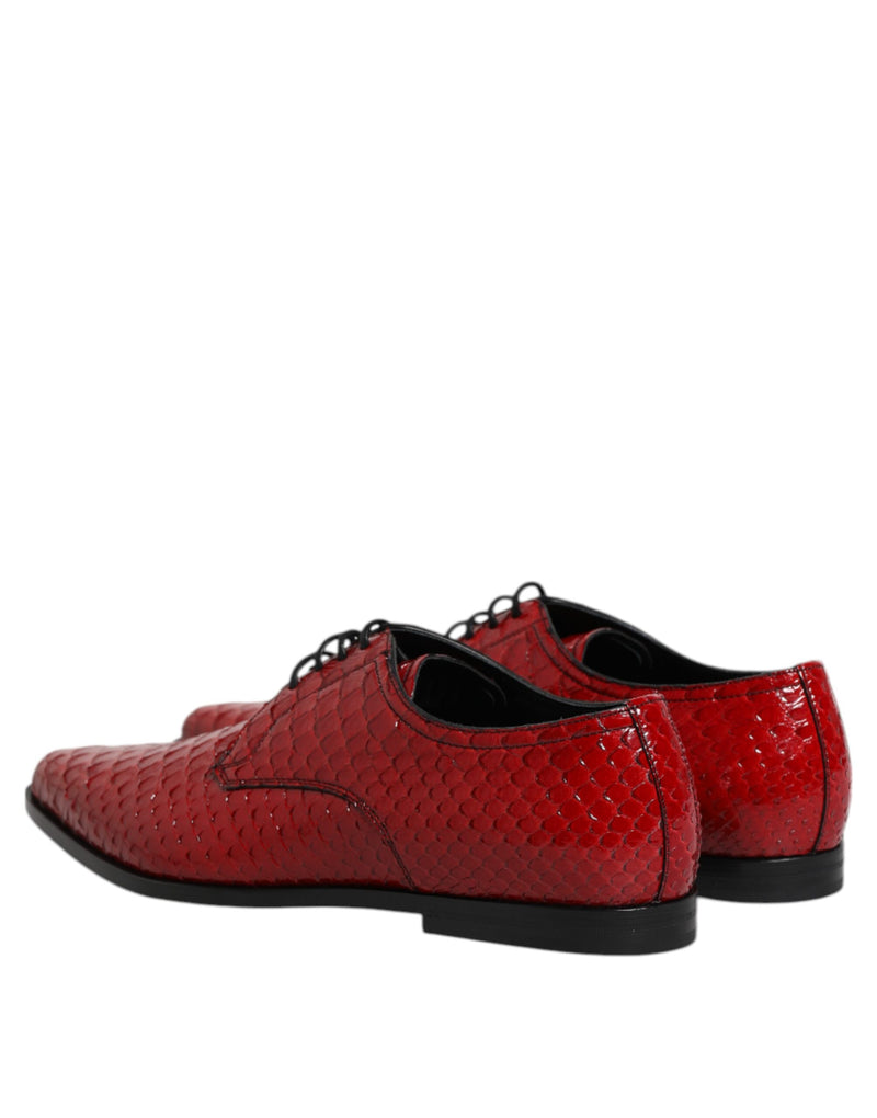Derbies habillées à lacets pour homme en cuir exotique rouge Dolce & Gabbana