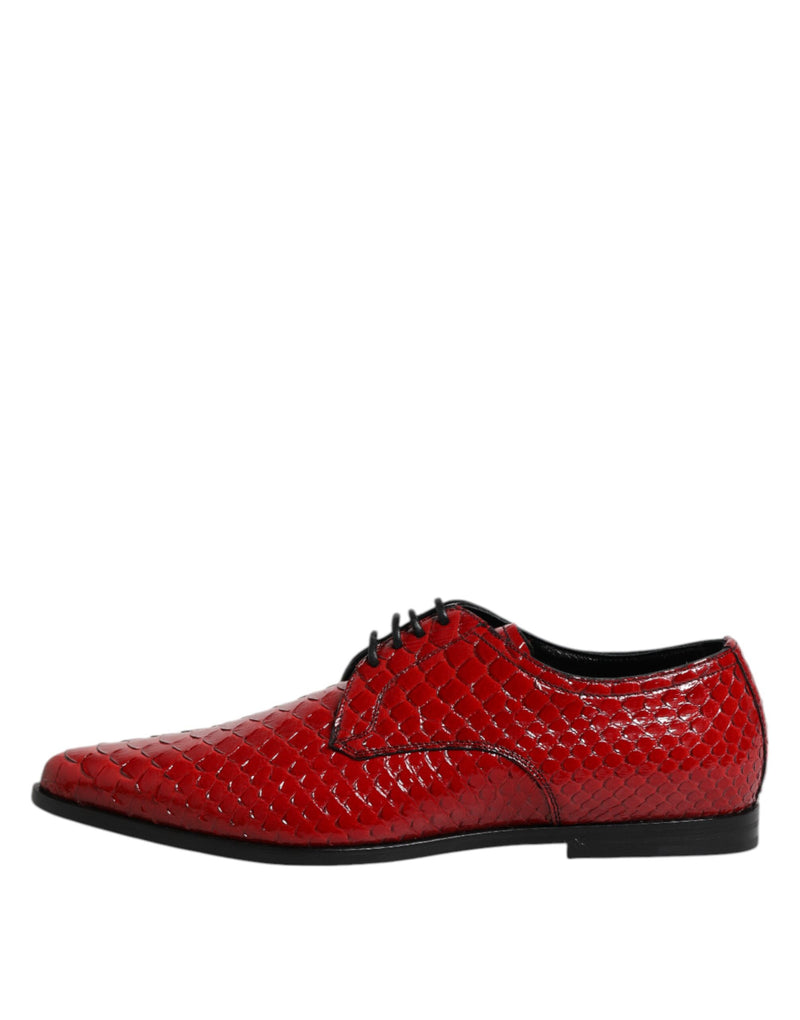 Derbies habillées à lacets pour homme en cuir exotique rouge Dolce & Gabbana