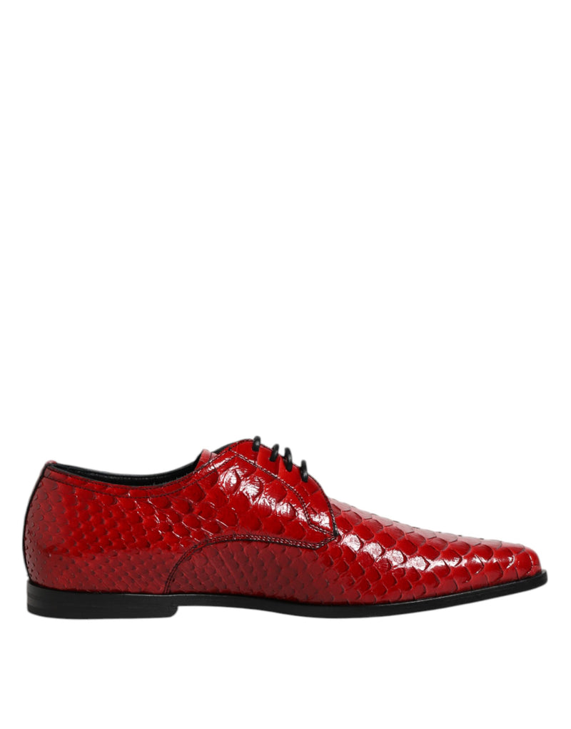 Derbies habillées à lacets pour homme en cuir exotique rouge Dolce & Gabbana