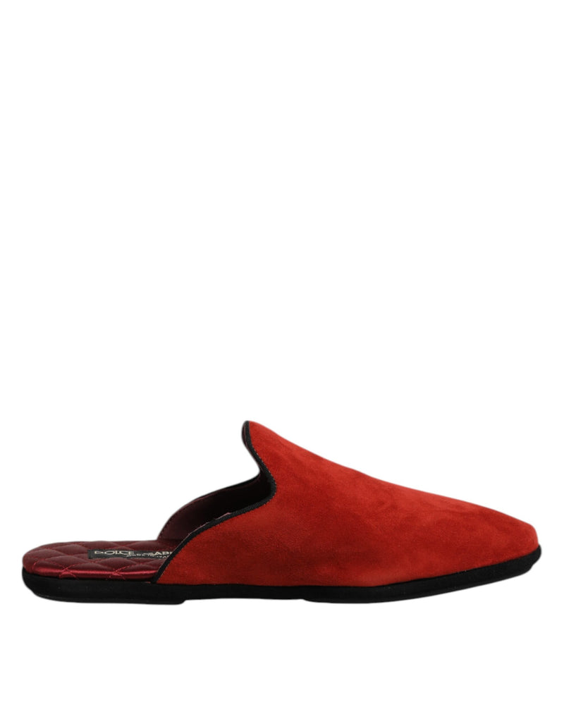 Mules plates en daim orange Dolce & Gabbana