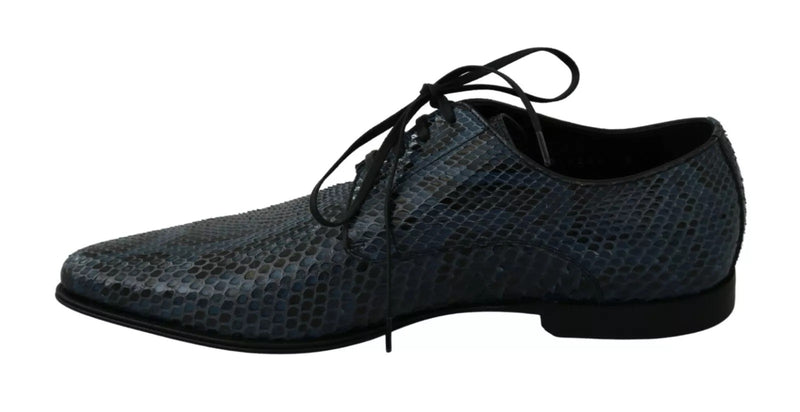 Chaussures en cuir de python bleu Dolce & Gabbana