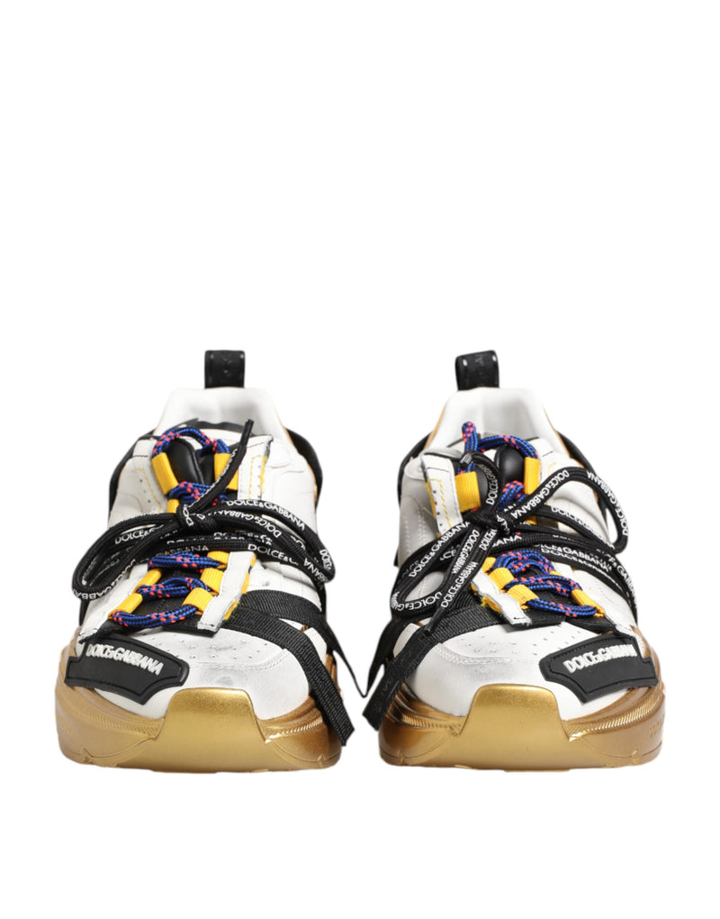 Zapatillas bajas Daymaster multicolores de Dolce & Gabbana