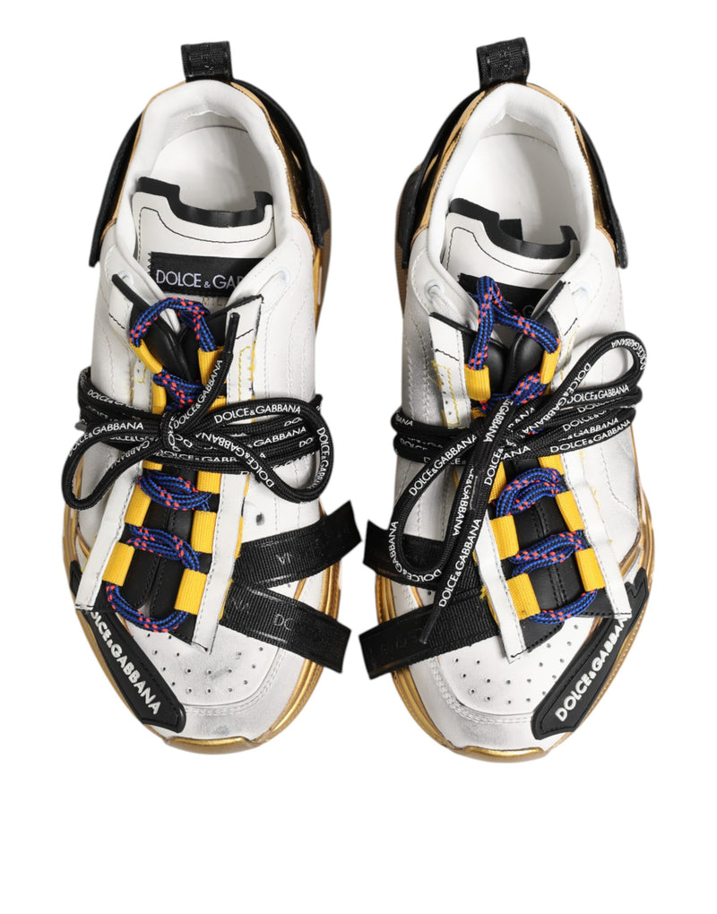 Zapatillas bajas Daymaster multicolores de Dolce & Gabbana