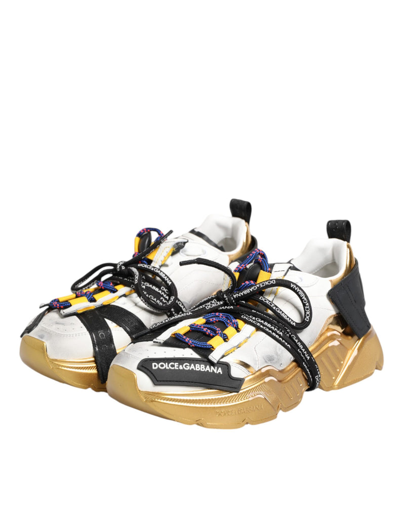 Zapatillas bajas Daymaster multicolores de Dolce & Gabbana