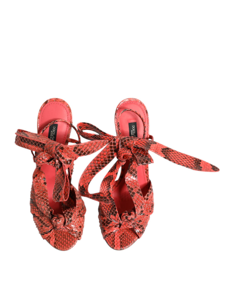 Sandálias Dolce & Gabbana de couro píton coral com salto