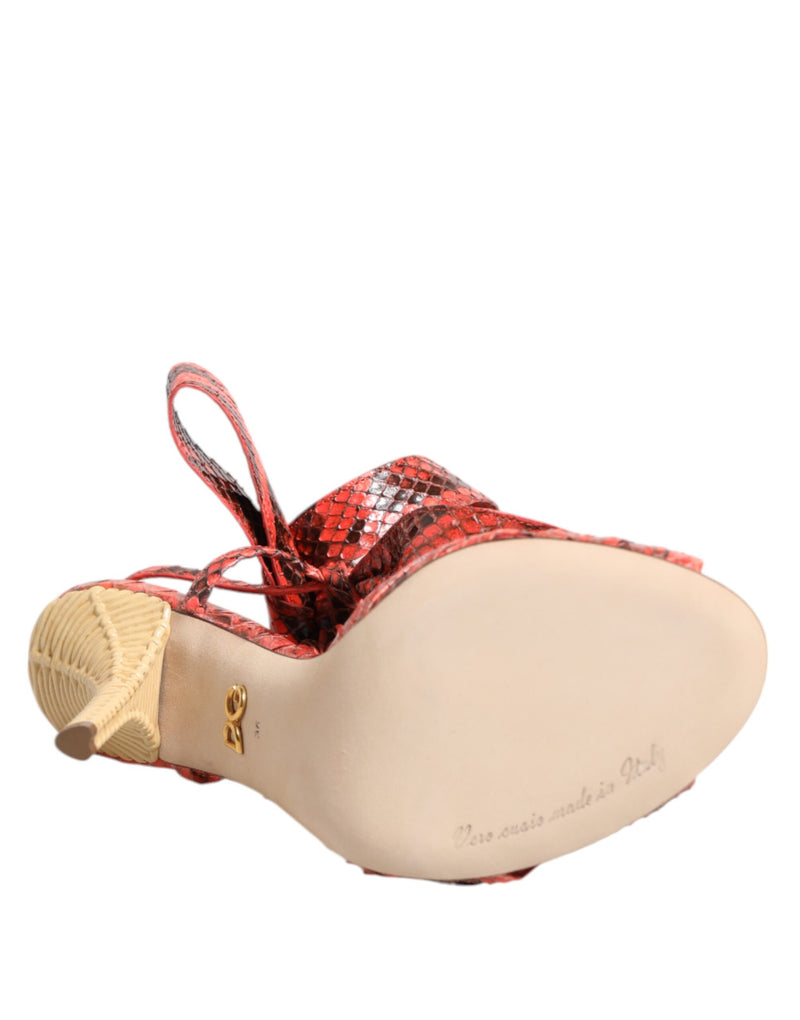 Sandálias Dolce & Gabbana de couro píton coral com salto