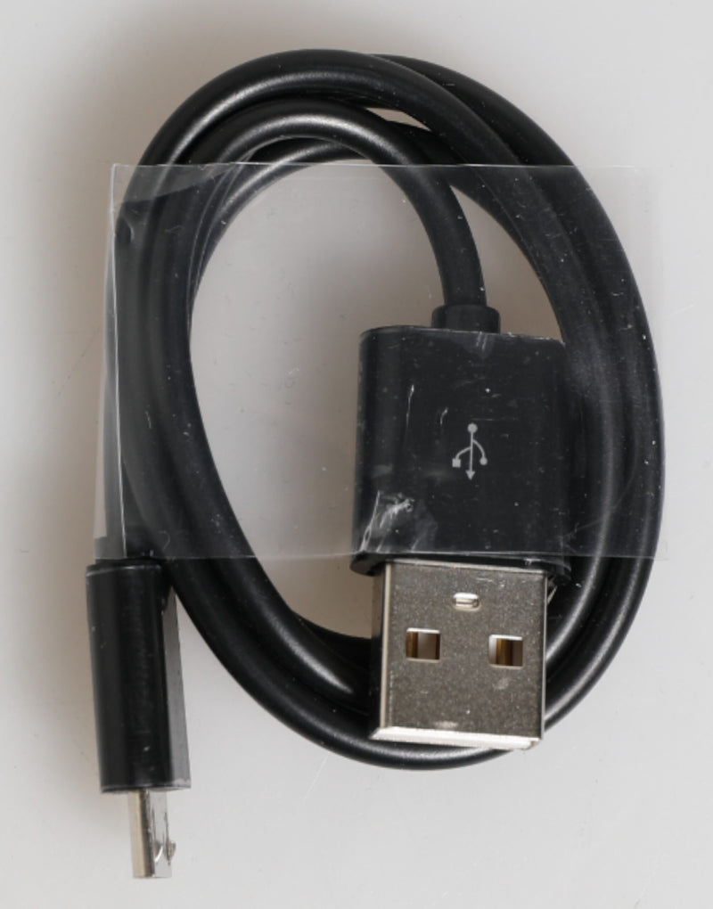 Caricabatterie USB e power bank da 3000 mAh in pelle esotica nera Dolce & Gabbana