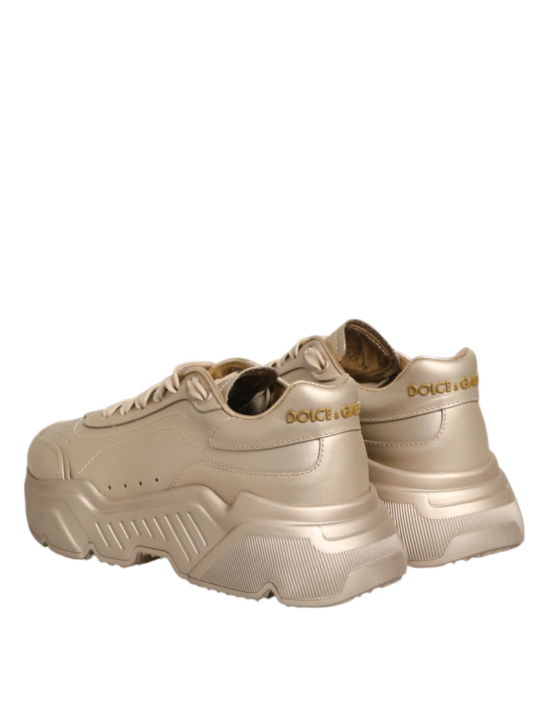 Baskets pour femme Daymaster en cuir doré Dolce & Gabbana