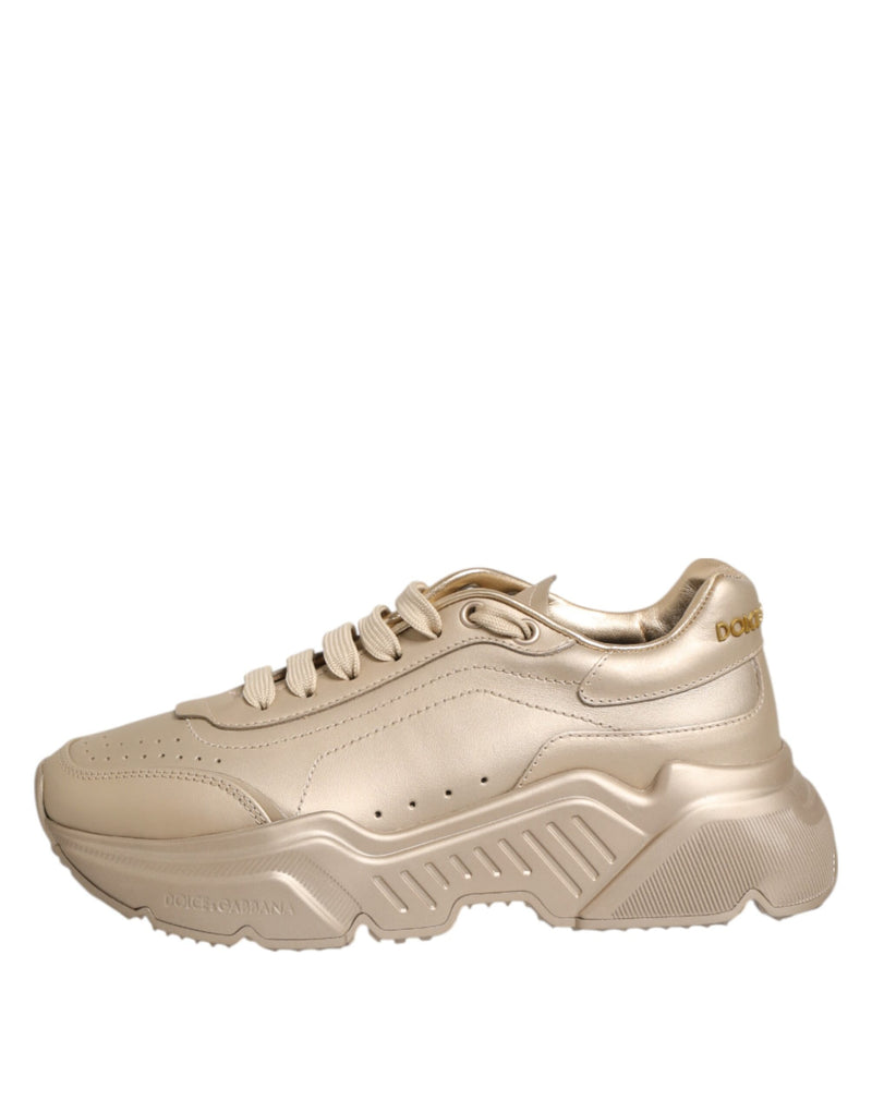 Baskets pour femme Daymaster en cuir doré Dolce & Gabbana