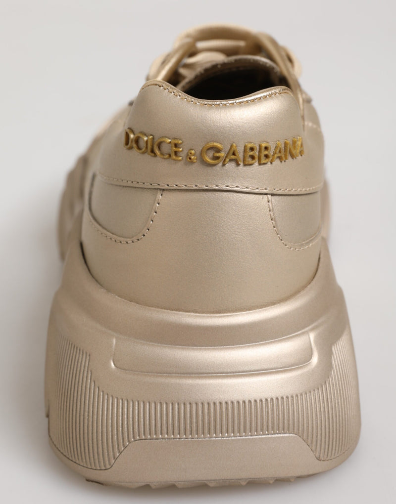 Baskets pour femme Daymaster en cuir doré Dolce & Gabbana