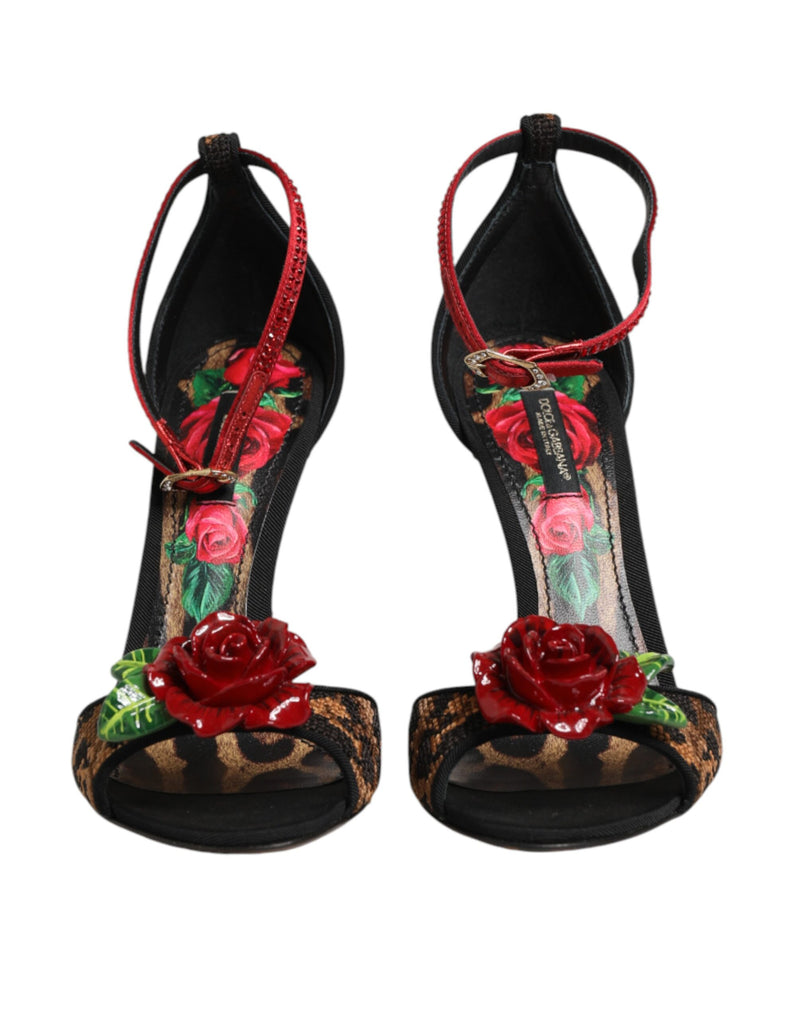 Sandales Dolce & Gabbana en cuir marron à imprimé léopard et roses en cristal