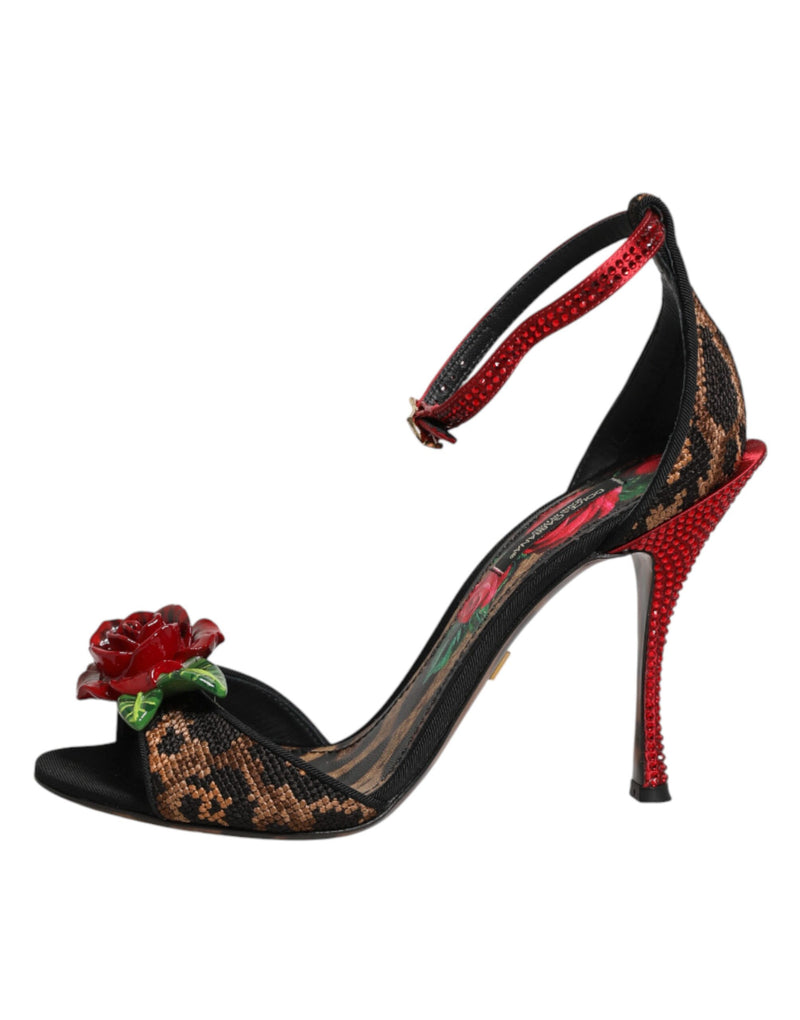 Sandales Dolce & Gabbana en cuir marron à imprimé léopard et roses en cristal