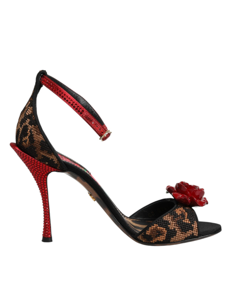 Sandales Dolce & Gabbana en cuir marron à imprimé léopard et roses en cristal