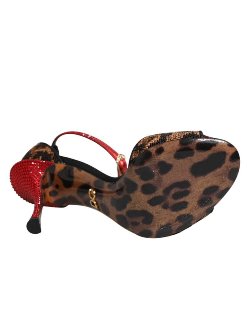 Sandales Dolce & Gabbana en cuir marron à imprimé léopard et roses en cristal