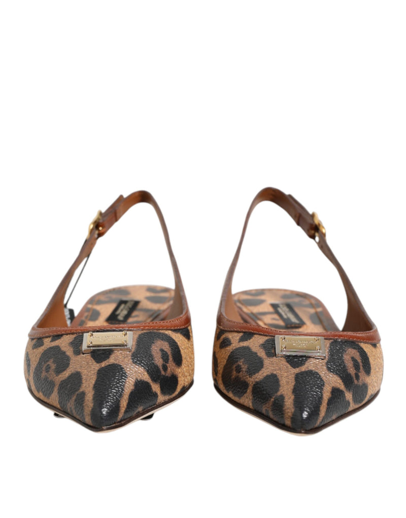 Sandali bassi Dolce & Gabbana marroni con stampa leopardata e cinturino posteriore