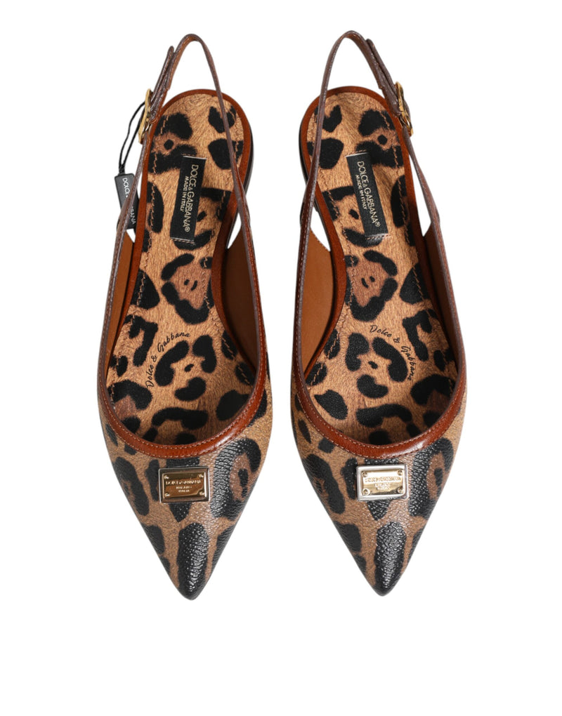 Sandali bassi Dolce & Gabbana marroni con stampa leopardata e cinturino posteriore