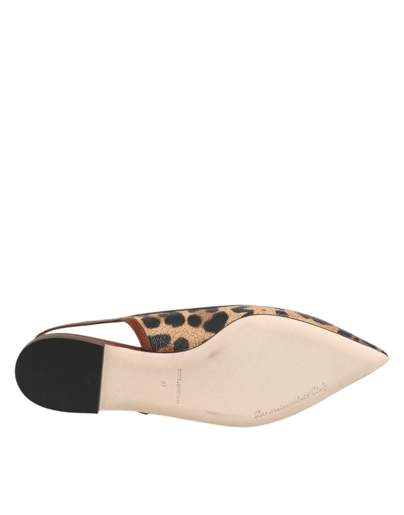 Sandali bassi Dolce & Gabbana marroni con stampa leopardata e cinturino posteriore