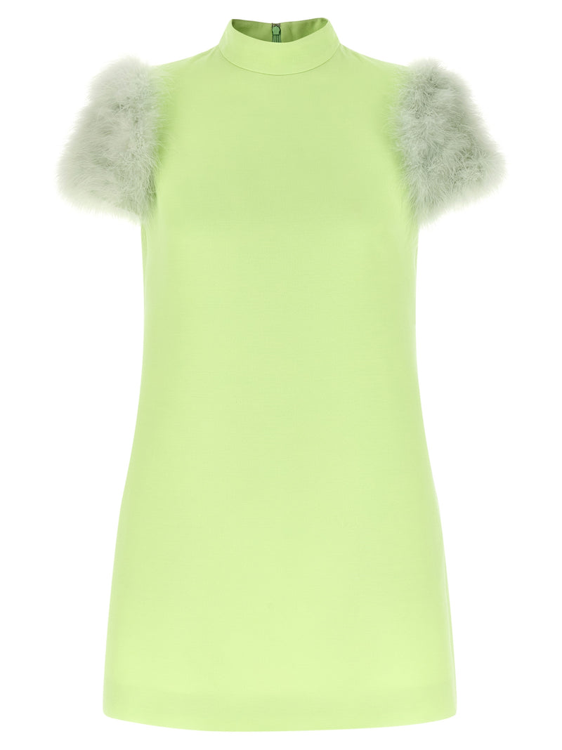 Valentino Garavani Valentino Garavani Feather Dress