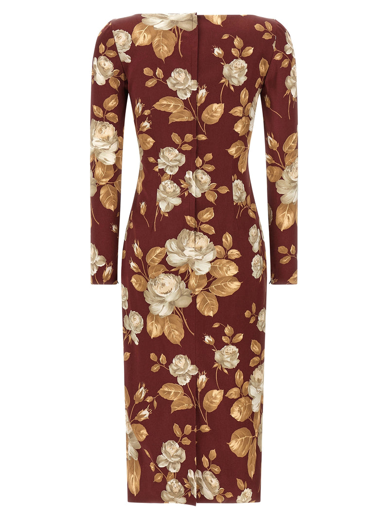 Dolce & Gabbana Dolce & Gabbana Rose Print Dress