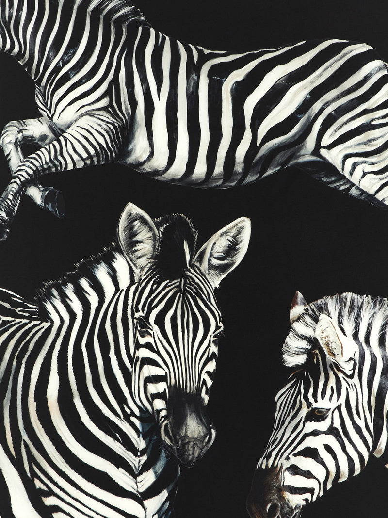 Dolce & Gabbana Dolce & Gabbana Zebra Print Scarf
